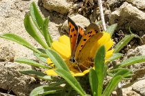 website781042.jpg