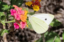 website781050.jpg